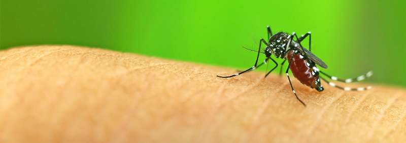 Post-Construction Termite Treatment